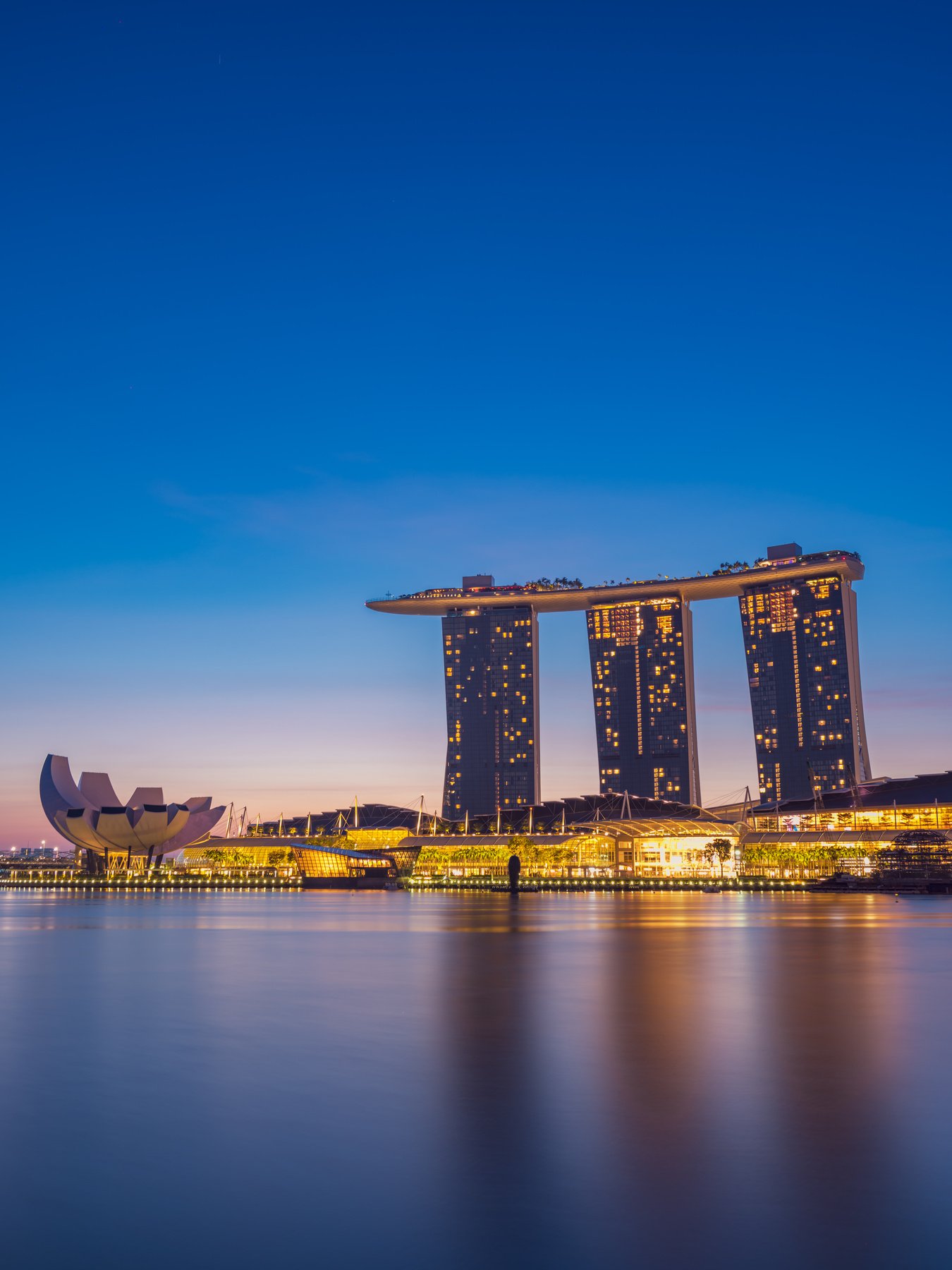 Marina Bay Sands at Night 